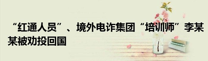 “红通人员”、境外电诈集团“培训师”李某某被劝投回国