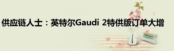 供应链人士:英特尔Gaudi 2特供版订单大增