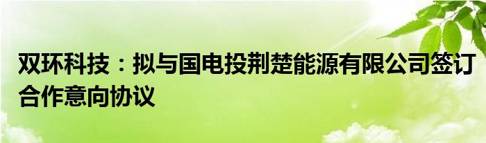 双环科技:拟与国电投荆楚能源有限公司签订合作意向协议