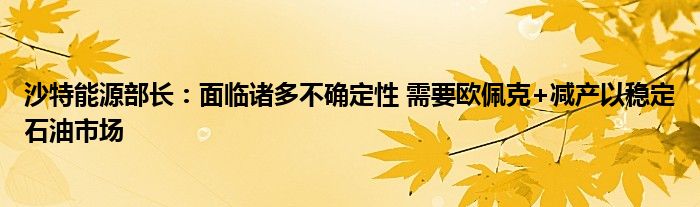 沙特能源部长:面临诸多不确定性 需要欧佩克+减产以稳定石油市场