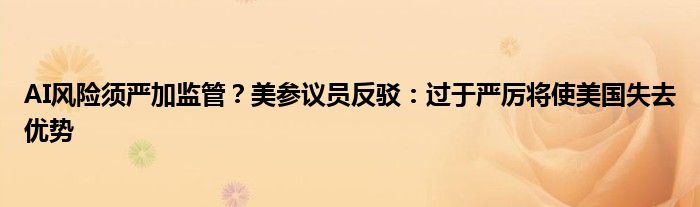 AI风险须严加监管?美参议员反驳:过于严厉将使美国失去优势