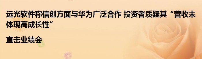 远光软件称信创方面与华为广泛合作 投资者质疑其“营收未体现高成长性”|直击业绩会