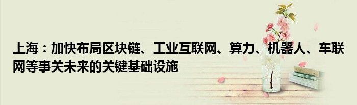上海:加快布局区块链、工业互联网、算力、机器人、车联网等事关未来的关键基础设施