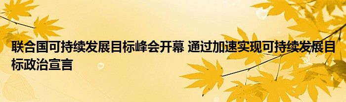 联合国可持续发展目标峰会开幕 通过加速实现可持续发展目标政治宣言