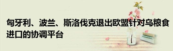 匈牙利、波兰、斯洛伐克退出欧盟针对乌粮食进口的协调平台