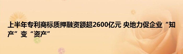 上半年专利商标质押融资额超2600亿元 央地力促企业“知产”变“资产”