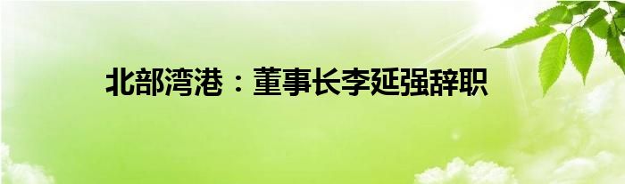 北部湾港：董事长李延强辞职