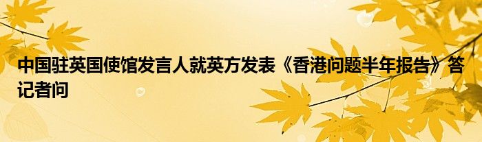 中国驻英国使馆发言人就英方发表《香港问题半年报告》答记者问