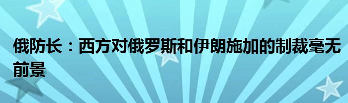 俄防长:西方对俄罗斯和伊朗施加的制裁毫无前景