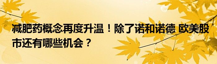 减肥药概念再度升温!除了诺和诺德 欧美股市还有哪些机会?
