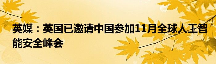 英媒:英国已邀请中国参加11月全球人工智能安全峰会