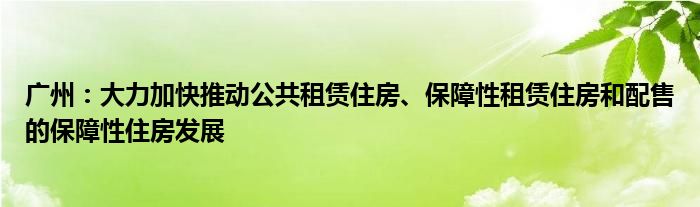 广州:大力加快推动公共租赁住房、保障性租赁住房和配售的保障性住房发展