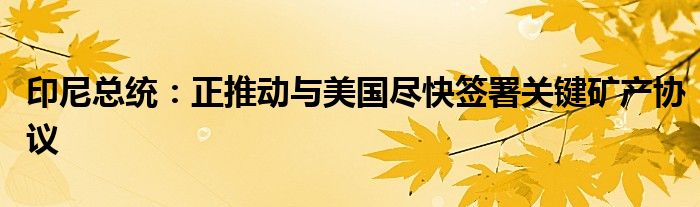 印尼总统：正推动与美国尽快签署关键矿产协议