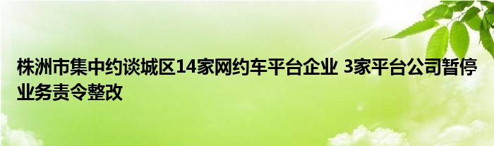 株洲市集中约谈城区14家网约车平台企业 3家平台公司暂停业务责令整改