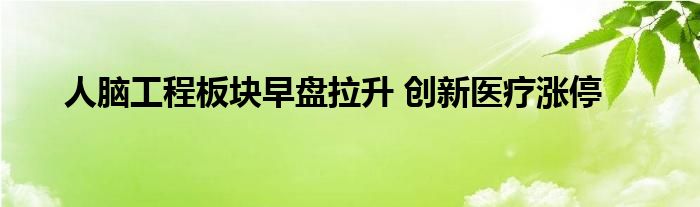 人脑工程板块早盘拉升 创新医疗涨停