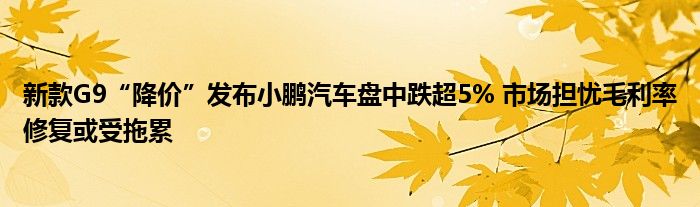 新款G9“降价”发布小鹏汽车盘中跌超5% 市场担忧毛利率修复或受拖累