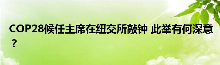 COP28候任主席在纽交所敲钟 此举有何深意?