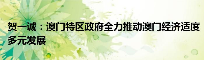 贺一诚:澳门特区政府全力推动澳门经济适度多元发展