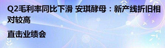 Q2毛利率同比下滑 安琪酵母:新产线折旧相对较高|直击业绩会