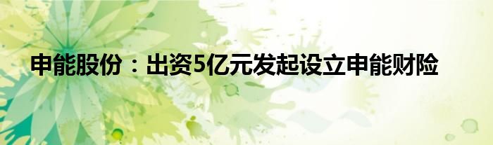 申能股份:出资5亿元发起设立申能财险