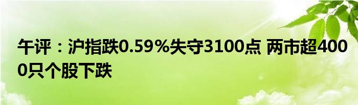 午评:沪指跌0.59%失守3100点 两市超4000只个股下跌