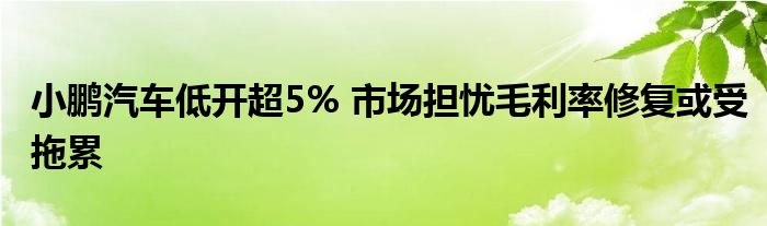 小鹏汽车低开超5% 市场担忧毛利率修复或受拖累