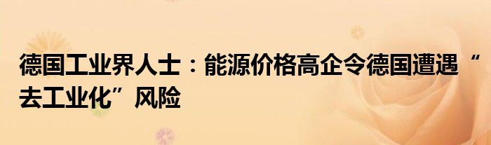 德国工业界人士:能源价格高企令德国遭遇“去工业化”风险
