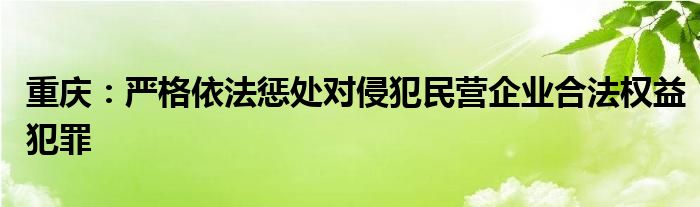 重庆:严格依法惩处对侵犯民营企业合法权益犯罪