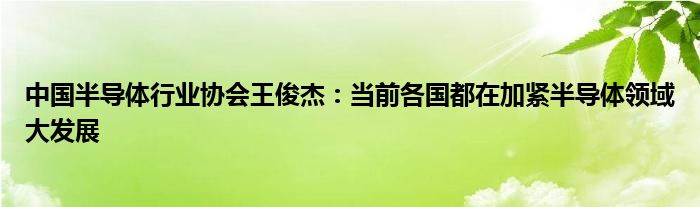 中国半导体行业协会王俊杰:当前各国都在加紧半导体领域大发展