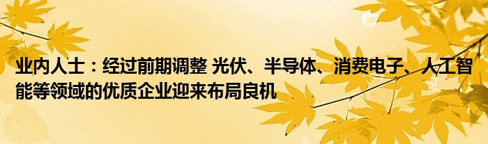 业内人士：经过前期调整 光伏、半导体、消费电子、人工智能等领域的优质企业迎来布局良机