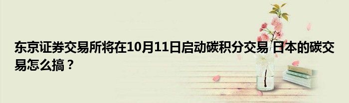 东京证券交易所将在10月11日启动碳积分交易 日本的碳交易怎么搞?