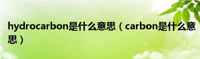 hydrocarbon是什么意思(carbon是什么意思)