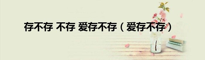 存不存 不存 爱存不存(爱存不存)