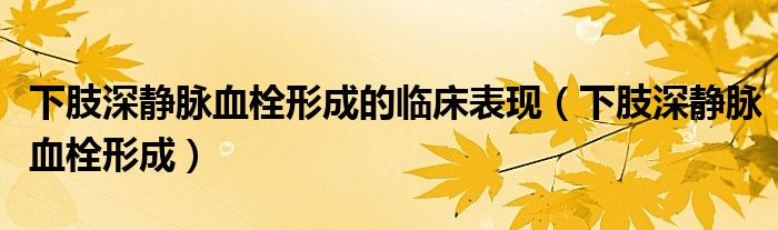 下肢深静脉血栓形成的临床表现(下肢深静脉血栓形成)