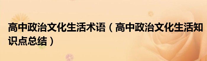 高中政治文化生活术语(高中政治文化生活知识点总结)
