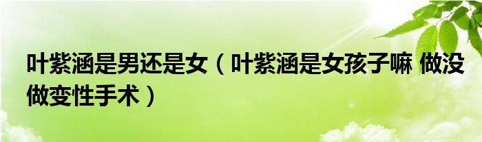 叶紫涵是男还是女(叶紫涵是女孩子嘛 做没做变性手术)