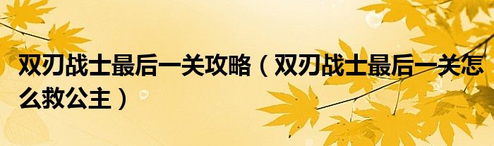 双刃战士最后一关攻略(双刃战士最后一关怎么救公主)