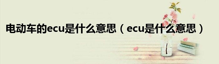 电动车的ecu是什么意思（ecu是什么意思）