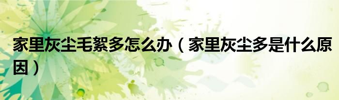 家里灰尘毛絮多怎么办(家里灰尘多是什么原因)