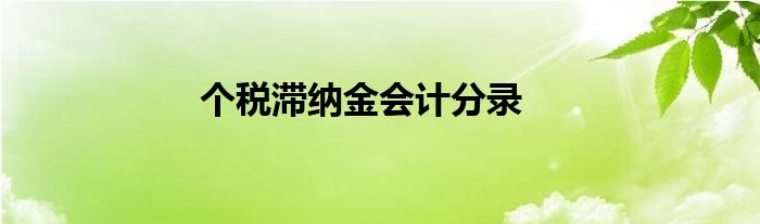 个税滞纳金会计分录