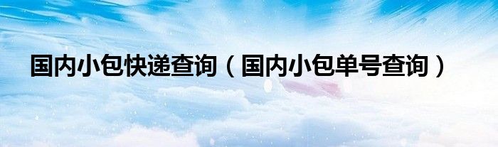 国内小包快递查询(国内小包单号查询)