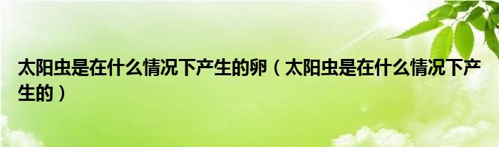太阳虫是在什么情况下产生的卵(太阳虫是在什么情况下产生的)