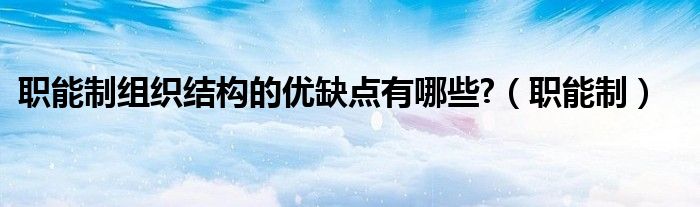 职能制组织结构的优缺点有哪些?(职能制)