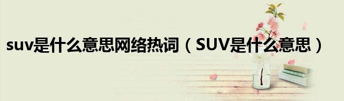 suv是什么意思网络热词(SUV是什么意思)