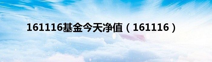 161116基金今天净值(161116)