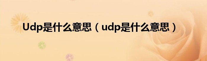 Udp是什么意思(udp是什么意思)
