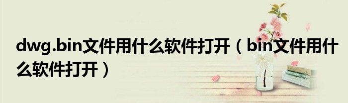 dwg.bin文件用什么软件打开(bin文件用什么软件打开)