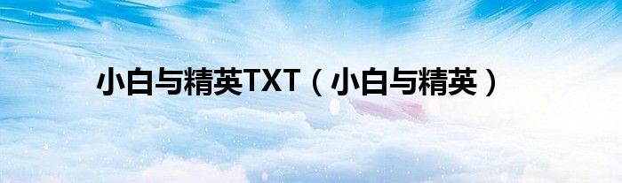 小白与精英TXT(小白与精英)