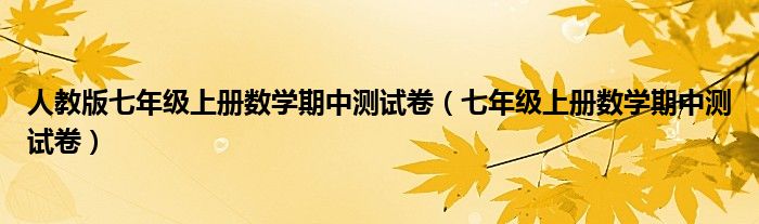 人教版七年级上册数学期中测试卷(七年级上册数学期中测试卷)