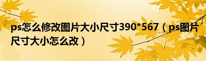 ps怎么修改图片大小尺寸390*567(ps图片尺寸大小怎么改)